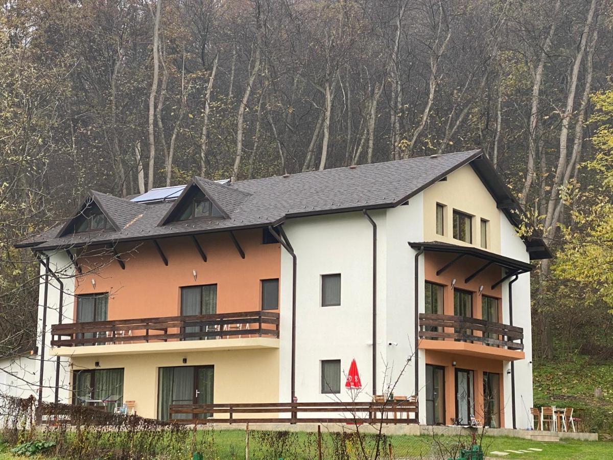 Pensiunea Lui Calin Ocnele Mari Exterior photo