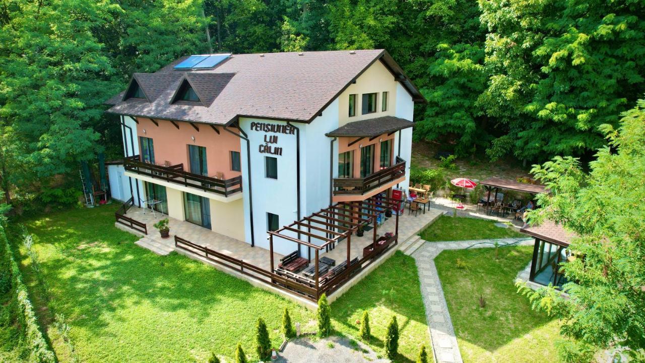Pensiunea Lui Calin Ocnele Mari Exterior photo